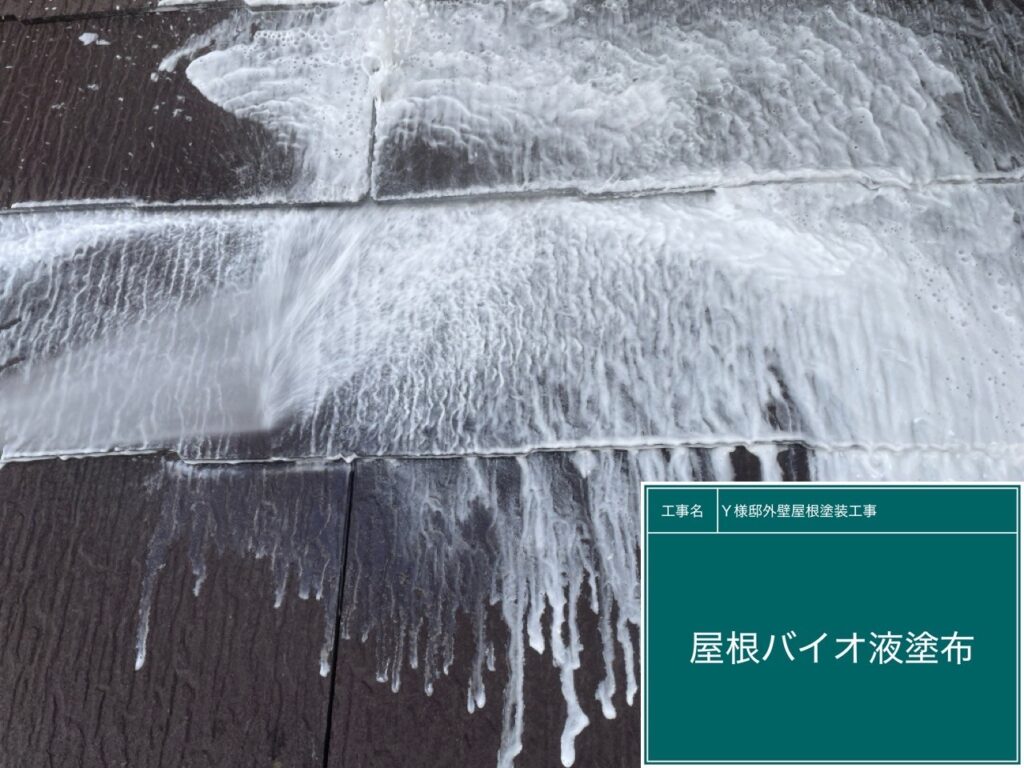 屋根バイオ洗浄